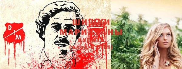 соль курить ск Алексеевка