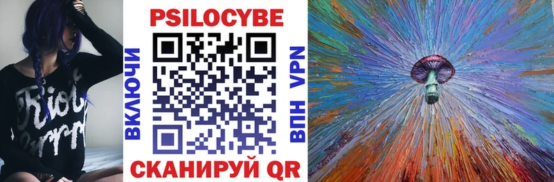 Галлюциногенные грибы Psilocybine cubensis  Тарко-Сале 